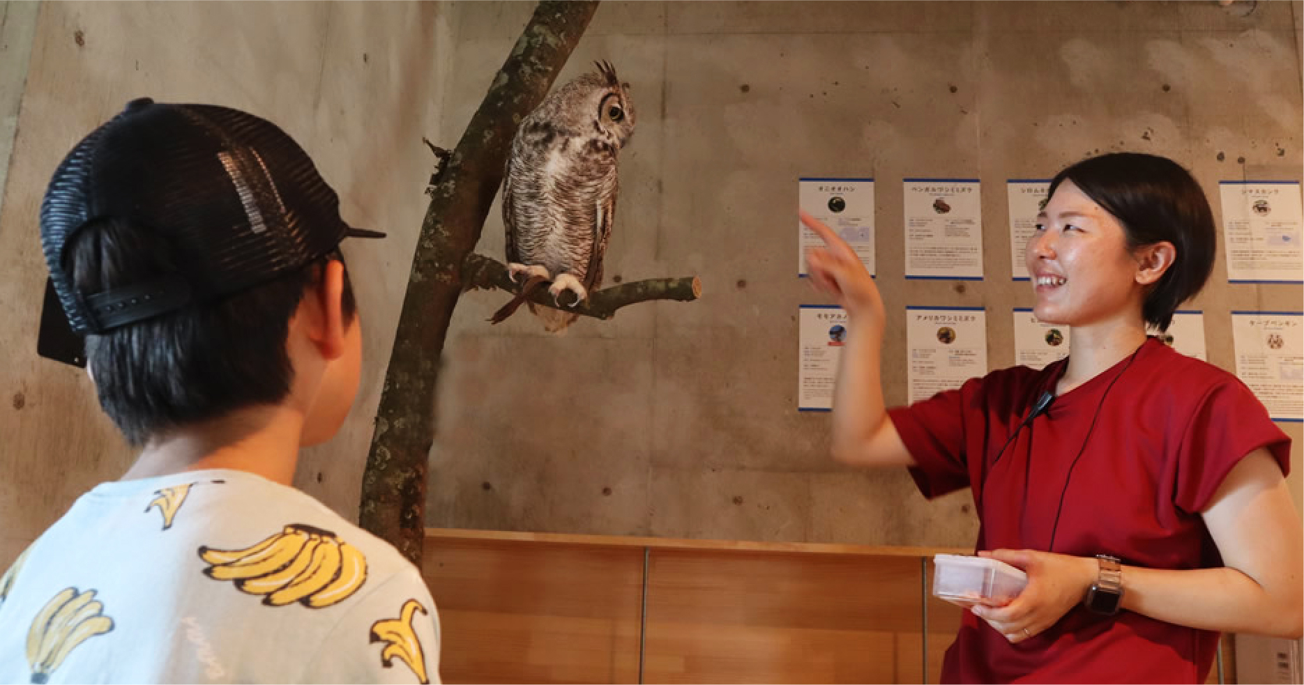 ミミズクの説明を受ける様子